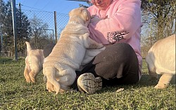 07.03.2025 Erstmal Frauchen ärgern und belagern.